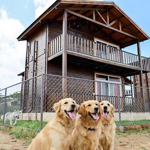 Therpup Resort